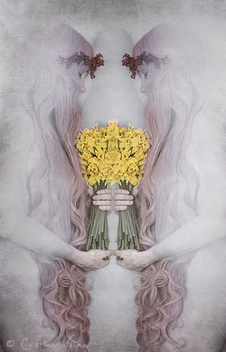 Narcissus death - Ode to the Narcissus