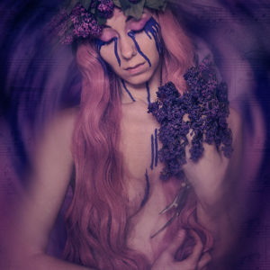 Lilacs sad song - part of "Ode to the Narcissus" project