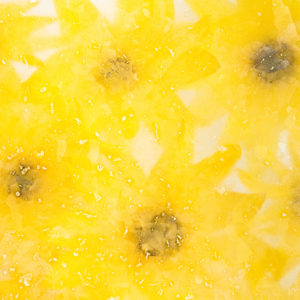 Frozen sun